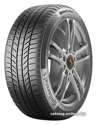 Continental WinterContact TS 870 P