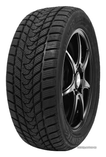 Delinte Winter WD1