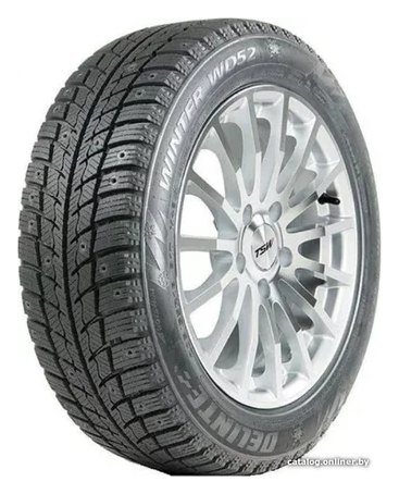 Delinte Winter WD52