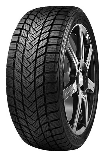Delinte Winter WD6