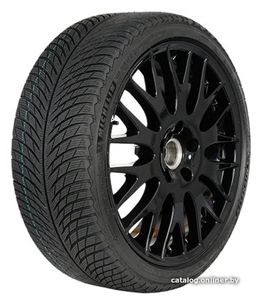Michelin Pilot Alpin 5