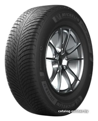 Michelin Pilot Alpin 5 SUV